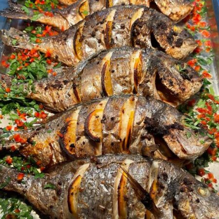 DORADA CUPTOR